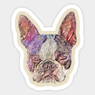 Boston Terrier Sticker